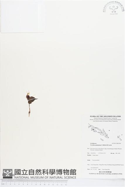 登錄號:BS03946藏品圖，第1張