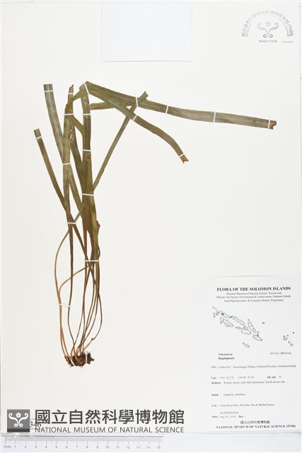 登錄號:BP02346藏品圖，第1張