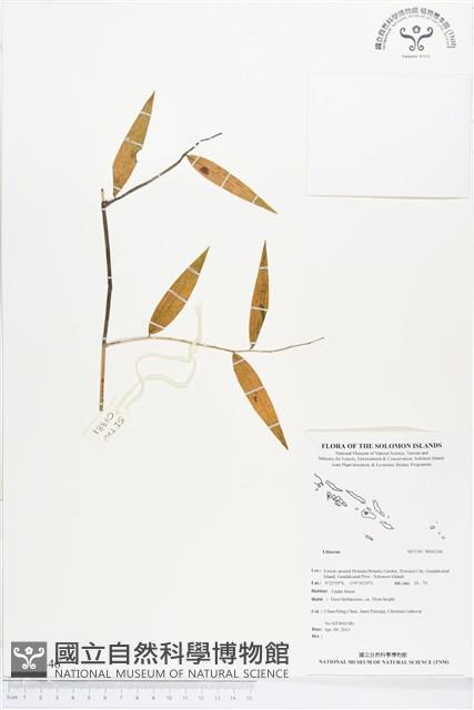 登錄號:BS02346藏品圖，第1張