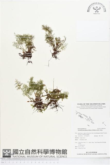 Accession Number:BP00346 Collection Image