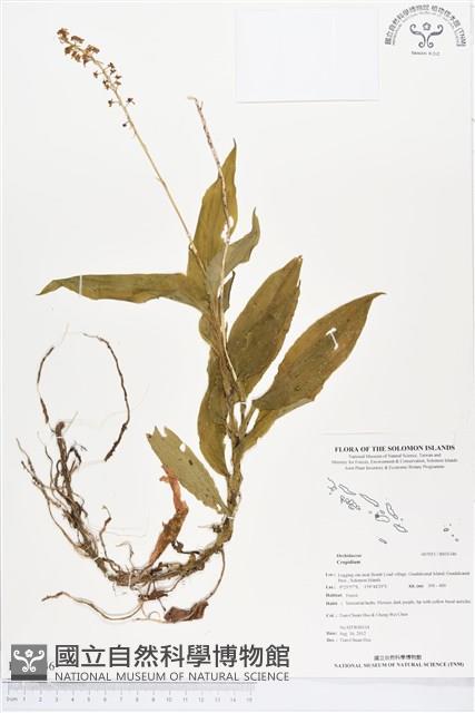 登錄號:BS01346藏品圖，第1張