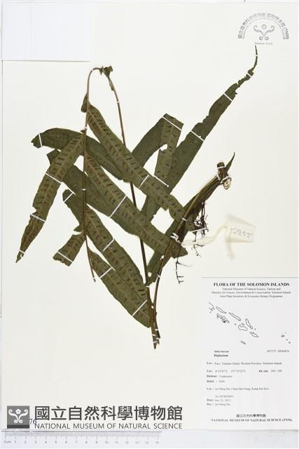 登錄號:BP00876藏品圖，第1張