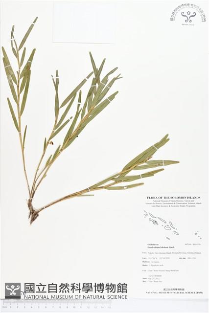 登錄號:BS01876藏品圖，第1張