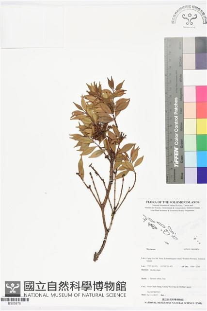 登錄號:BS05876藏品圖，第1張