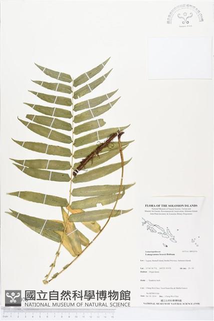 登錄號:BP02076藏品圖，第1張