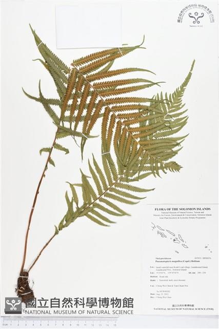 登錄號:BP00076藏品圖，第1張