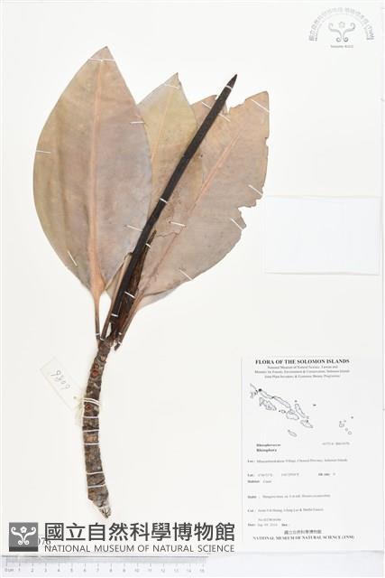 登錄號:BS05076藏品圖，第1張