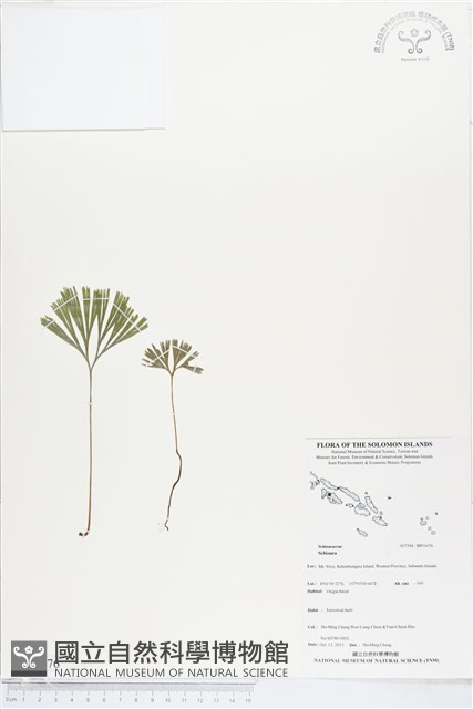 登錄號:BP01676藏品圖，第1張