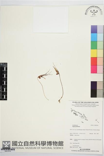 登錄號:BS07676藏品圖，第1張