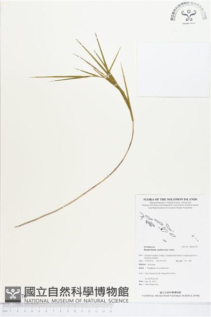 登錄號:BS02176藏品圖，第1張