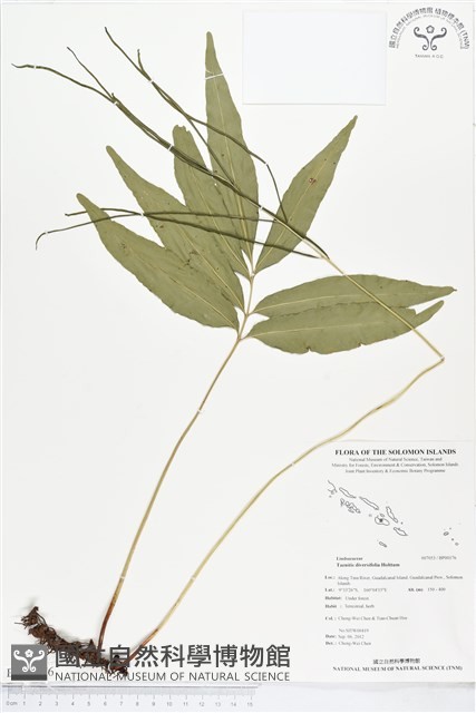 登錄號:BP00176藏品圖，第1張