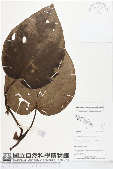 登錄號:BS04176藏品圖，第1張