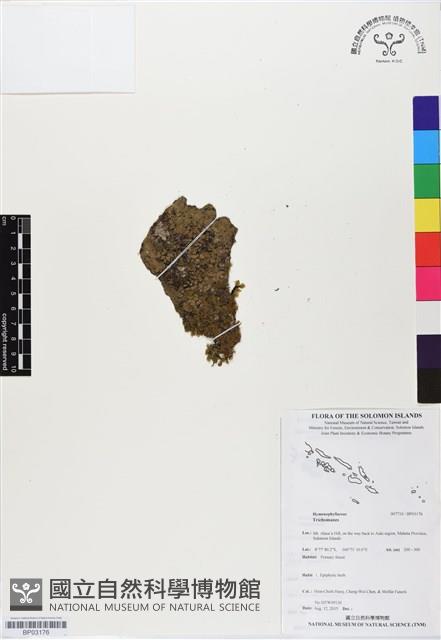 登錄號:BP03176藏品圖，第1張