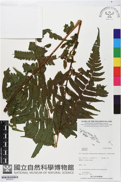 登錄號:BP02476藏品圖，第1張