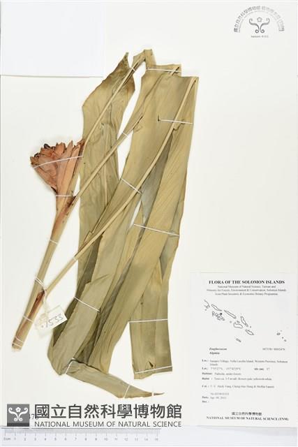 登錄號:BS02476藏品圖，第1張