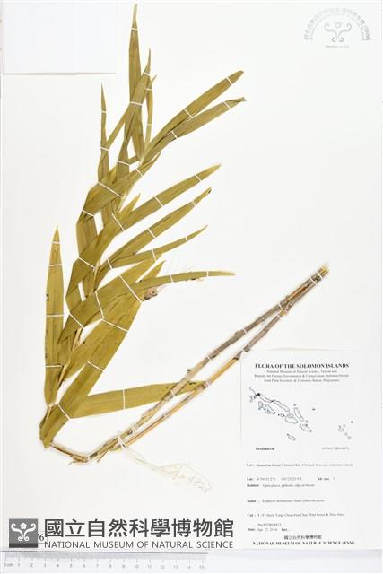 登錄號:BS04476藏品圖，第1張