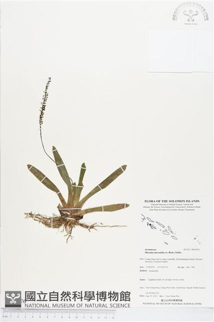 登錄號:BS03476藏品圖，第1張