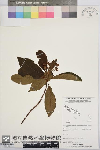 Accession Number:BS07476 Collection Image