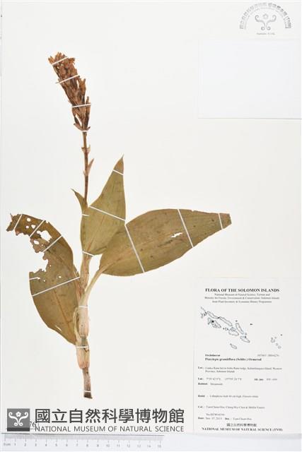 登錄號:BS04276藏品圖，第1張