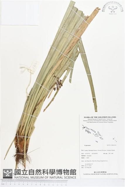 登錄號:BS03276藏品圖，第1張