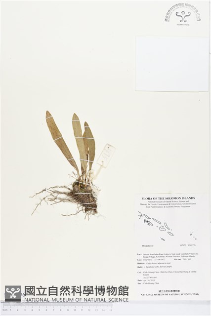 登錄號:BS02776藏品圖，第1張