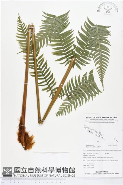 登錄號:BP00776藏品圖，第1張