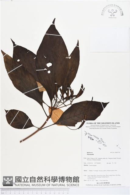 登錄號:BS03776藏品圖，第1張