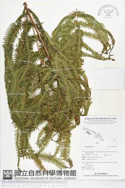 登錄號:BP00576藏品圖，第1張