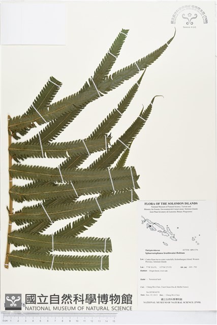 登錄號:BP01576藏品圖，第1張