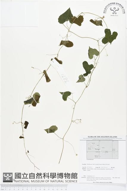 登錄號:BS01576藏品圖，第1張