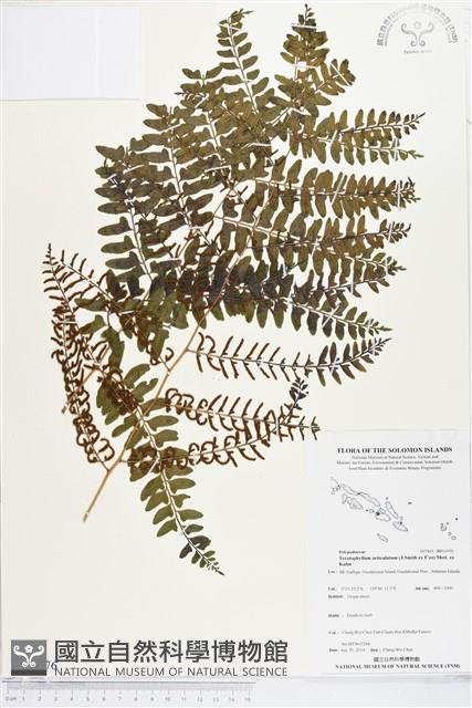 登錄號:BP01976藏品圖，第1張