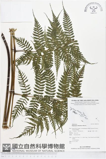 登錄號:BP00376藏品圖，第1張