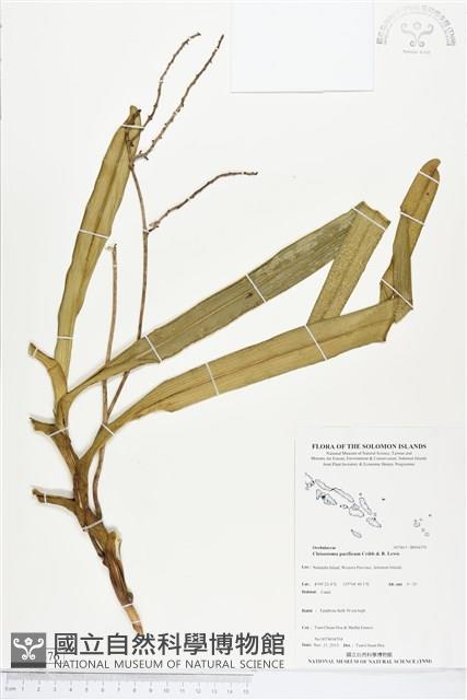 登錄號:BS04376藏品圖，第1張