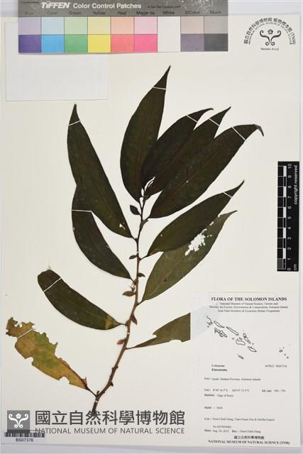 登錄號:BS07376藏品圖，第1張