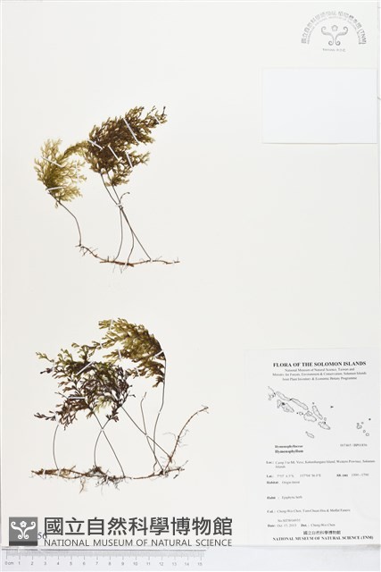 登錄號:BP01856藏品圖，第1張