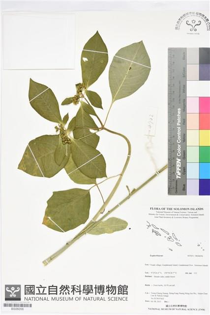 登錄號:BS06056藏品圖，第1張
