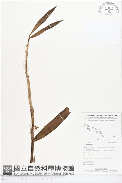 登錄號:BS02056藏品圖，第1張