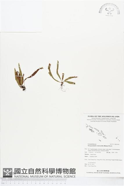 登錄號:BP01056藏品圖，第1張