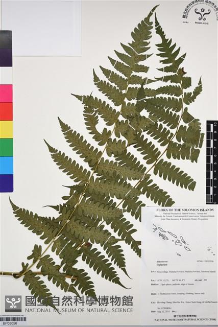 登錄號:BP03056藏品圖，第1張