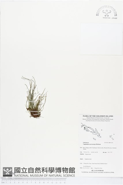 登錄號:BP01656藏品圖，第1張