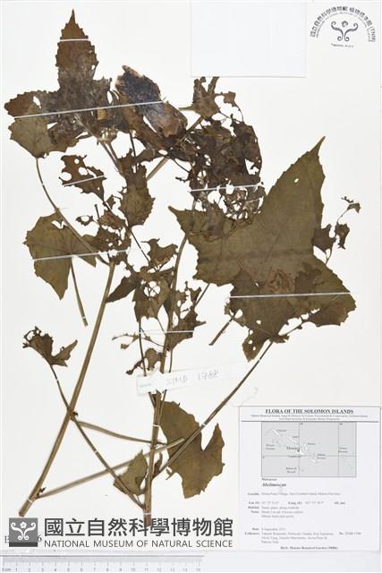 登錄號:BS01656藏品圖，第1張