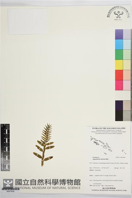 登錄號:BS07656藏品圖，第1張