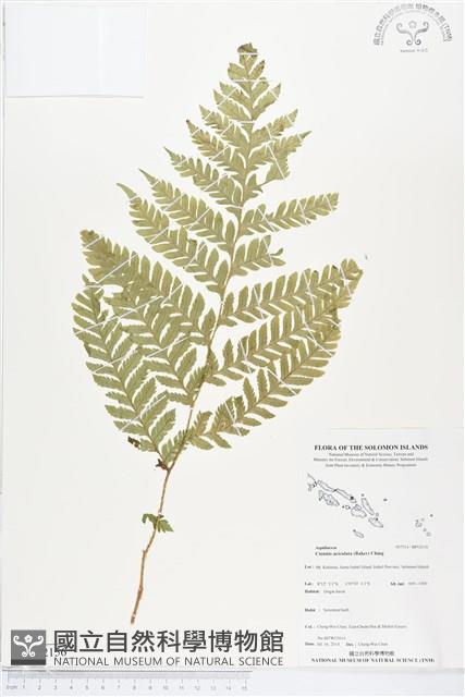 登錄號:BP02156藏品圖，第1張