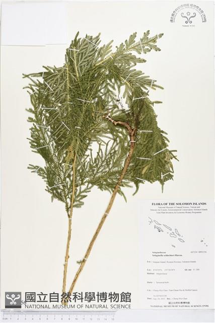 登錄號:BP01156藏品圖，第1張