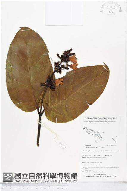 登錄號:BS05156藏品圖，第1張