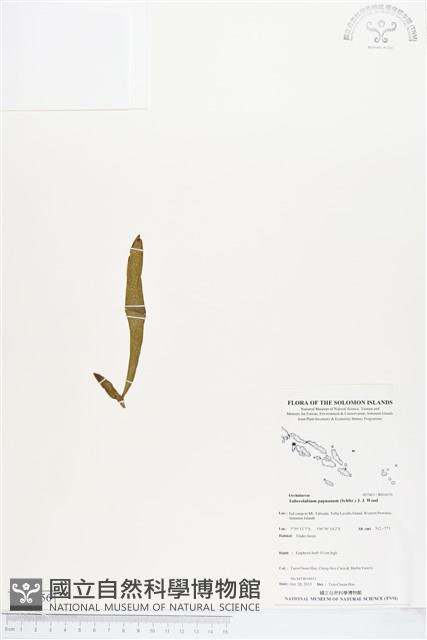 登錄號:BS04156藏品圖，第1張