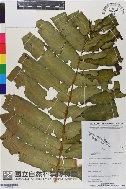 登錄號:BP03156藏品圖，第1張