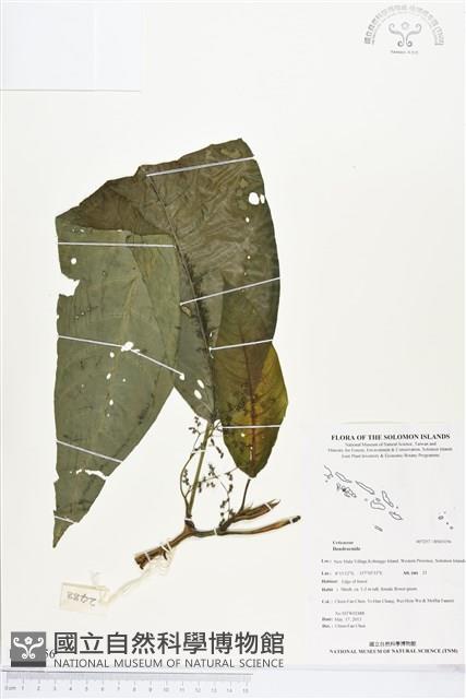 登錄號:BS03156藏品圖，第1張