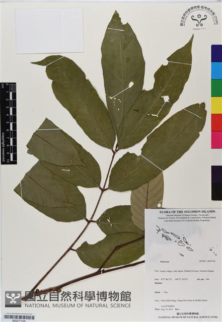 登錄號:BS07156藏品圖，第1張