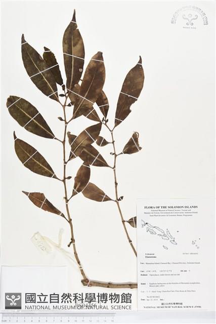 登錄號:BS04456藏品圖，第1張